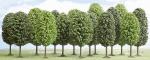 Busch Lot de 15 arbres feuillus